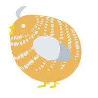 A honey and mist chicken with a bar pattern