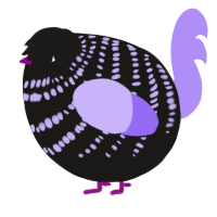 A sable and lilac chicken with a bar pattern