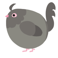 A ash and grey chicken with a head pattern
