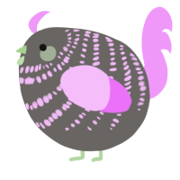 A grey and lavender chicken with a bar pattern