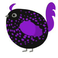 A black and violet chicken with a speckle pattern