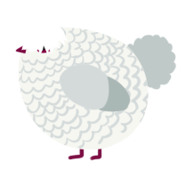 A white and silver chicken with a lace pattern