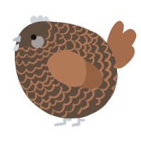 A bark and brown chicken with a lace pattern