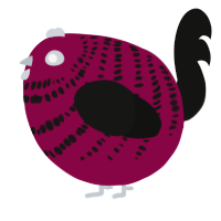 A maroon and black chicken with a bar pattern