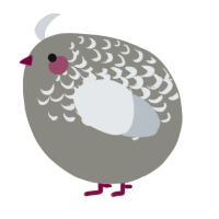 A ash and mist chicken with a half-lace pattern