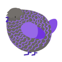 A grey and blurple chicken with a lace pattern