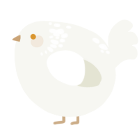A white chicken with a neck-speckle pattern