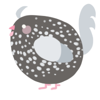 A grey and mist chicken with a speckle pattern