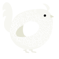 A white chicken with a double-lace pattern