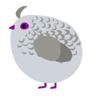 A mist and ash chicken with a half-lace pattern