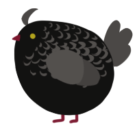 A sable and grey chicken with a half-lace pattern