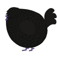 A black and sable chicken with a lace pattern