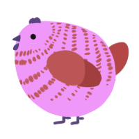 A lavender and red chicken with a bar pattern
