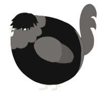 A black and grey chicken with a head pattern