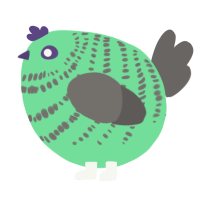 A spring and grey chicken with a bar pattern