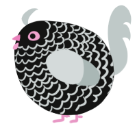 A black and silver chicken with a lace pattern