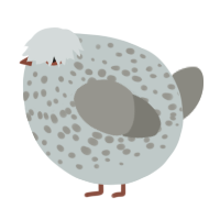 A silver and ash chicken with a speckle pattern