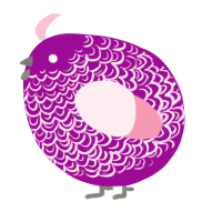 A plum and rose chicken with a double-lace pattern