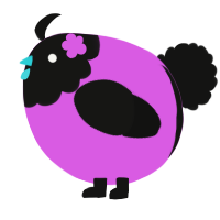A orchid and black chicken with a head pattern
