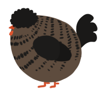 A bark and sable chicken with a bar pattern