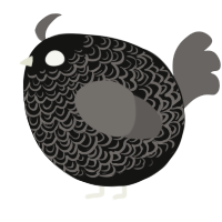 A black and grey chicken with a double-lace pattern