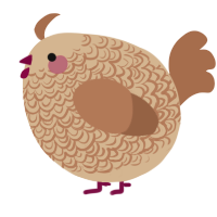 A beige and brown chicken with a double-lace pattern