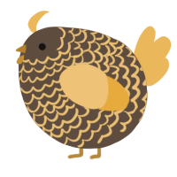 A bark and honey chicken with a lace pattern