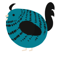 A sea and black chicken with a bar pattern