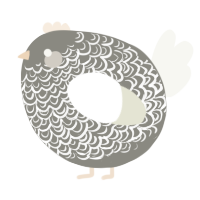 A ash and white chicken with a double-lace pattern