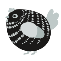 A sable and silver chicken with a bar pattern