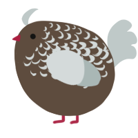 A bark and silver chicken with a half-lace pattern