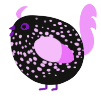 A black and lavender chicken with a speckle pattern