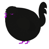 A black chicken with a speckle pattern