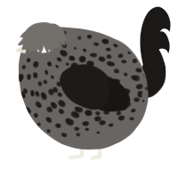 A grey and sable chicken with a speckle pattern