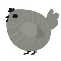 A ash chicken with a bar pattern