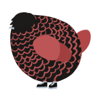 A sable and red chicken with a lace pattern