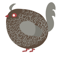 A bark and ash chicken with a double-lace pattern