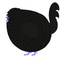 A black and sable chicken with a lace pattern
