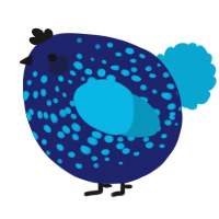 A navy and cerulean chicken with a speckle pattern