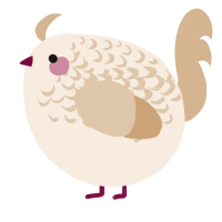 A cream and beige chicken with a half-lace pattern