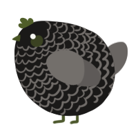 A sable and grey chicken with a lace pattern