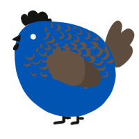 A ultramarine and bark chicken with a half-lace pattern