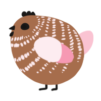 A brown and rose chicken with a bar pattern