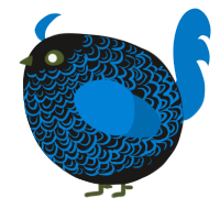 A sable and sapphire chicken with a double-lace pattern