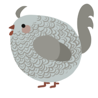 A silver and ash chicken with a double-lace pattern