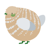 A beige and mist chicken with a bar pattern
