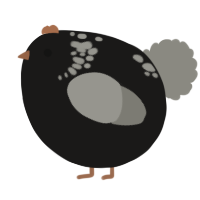 A sable and ash chicken with a neck-speckle pattern