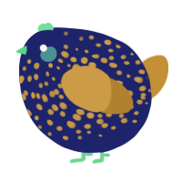 A navy and gold chicken with a speckle pattern