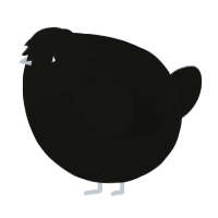 A black chicken with a head pattern
