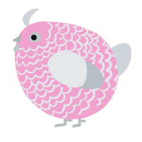 A pink and mist chicken with a lace pattern